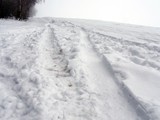 P1920683_N