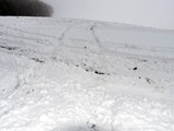 P1920685_N